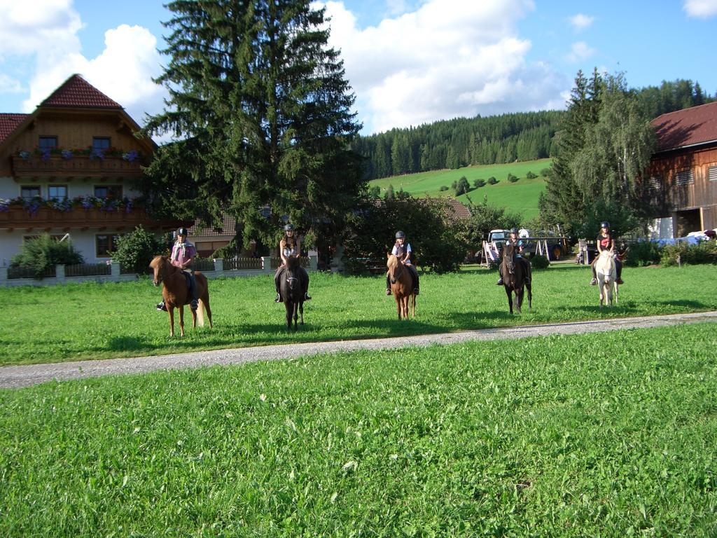 Bio Bauernhof Schoberhof Villa Sankt Andrä im Lungau Kültér fotó