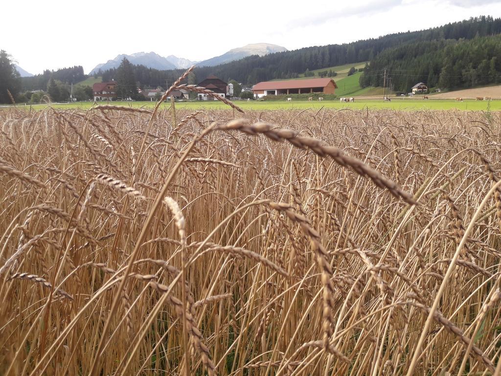 Bio Bauernhof Schoberhof Villa Sankt Andrä im Lungau Kültér fotó