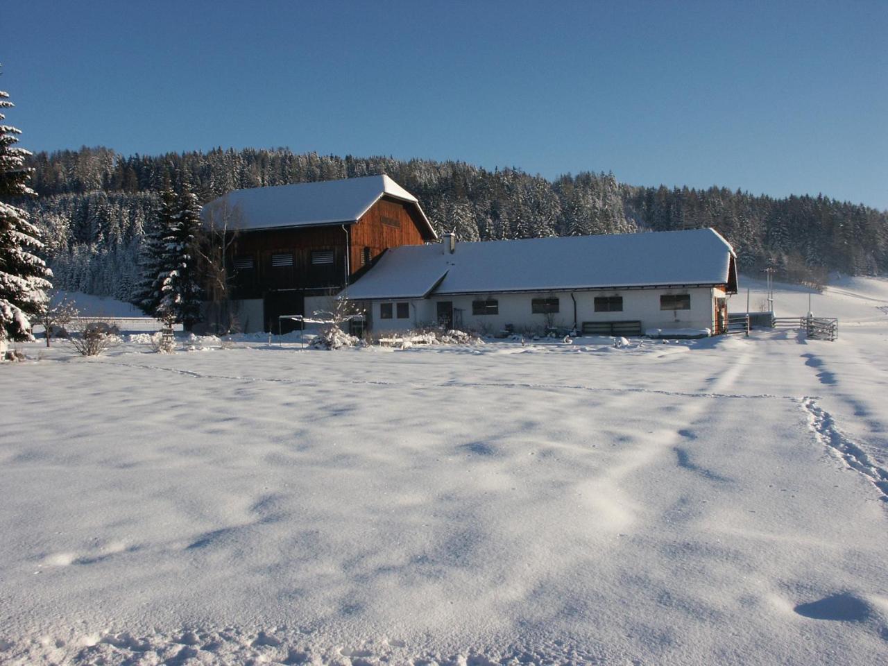 Bio Bauernhof Schoberhof Villa Sankt Andrä im Lungau Kültér fotó